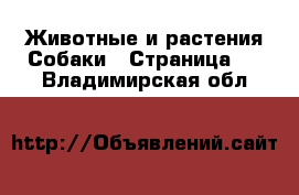 Животные и растения Собаки - Страница 8 . Владимирская обл.